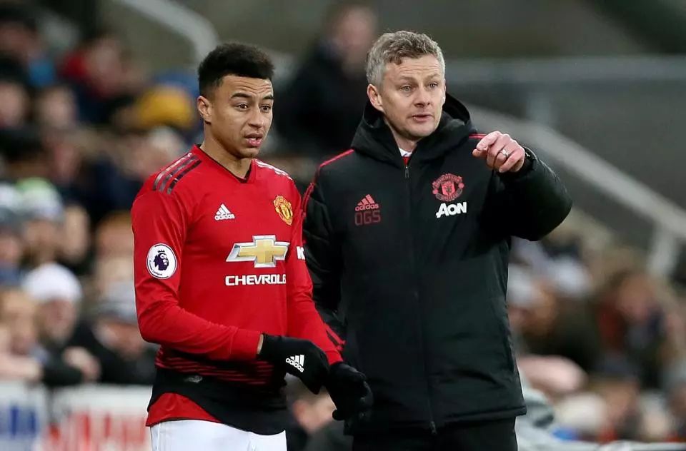 凭借顽强的 凭借顽强的